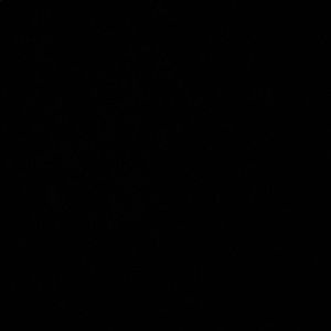 Meet your Posher, Araceli